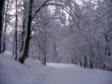 Pollino National Park Calabria South Italy