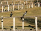 La Sila National Park Calabria South Italy